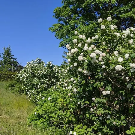 Moritzhagen Neuenkirchen (Landhagen)