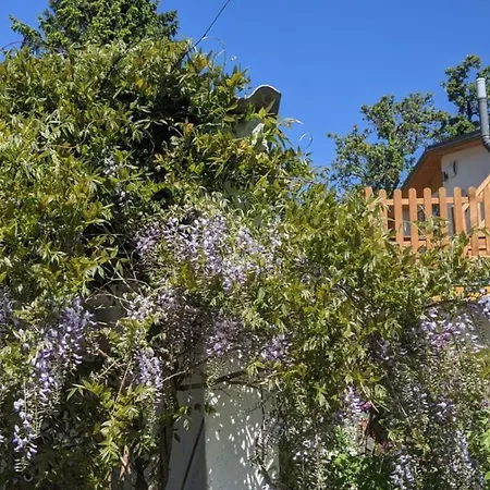 Apartmán Moritzhagen Neuenkirchen (Landhagen)