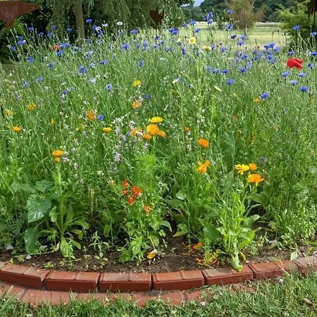 Apartmán Moritzhagen *