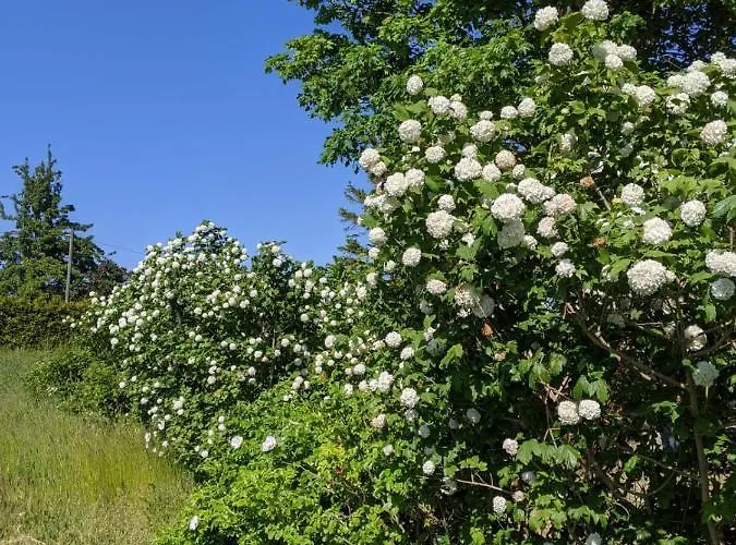 Moritzhagen Neuenkirchen