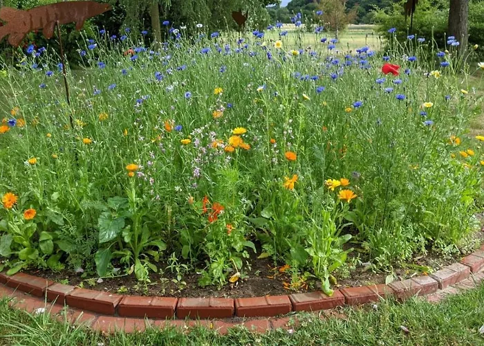 アパート Moritzhagen *